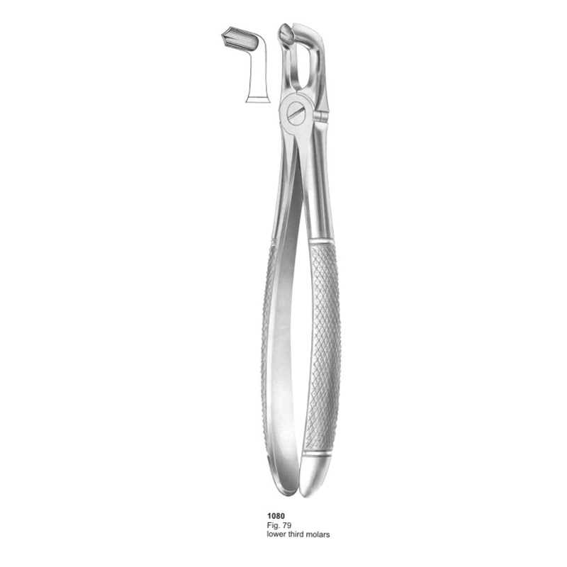 10-10-1.jpg Extracting Forceps - Image 1