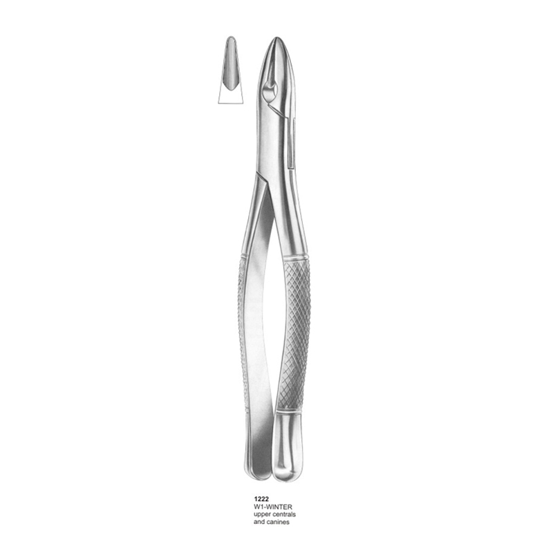 12-5-1.jpg Extracting Forceps - Image 1