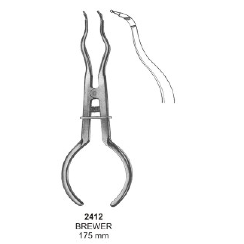 2-25-1.jpg Rubber Dam Instruments, Rubber Dam clamps - Image 1